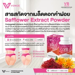 VB Plus วีบี ลดน้ำหนัก ลดไขมัน เร่งเผาผลาญ ต้นแจน ต้นขา หน้าท้อง ลงพุง
