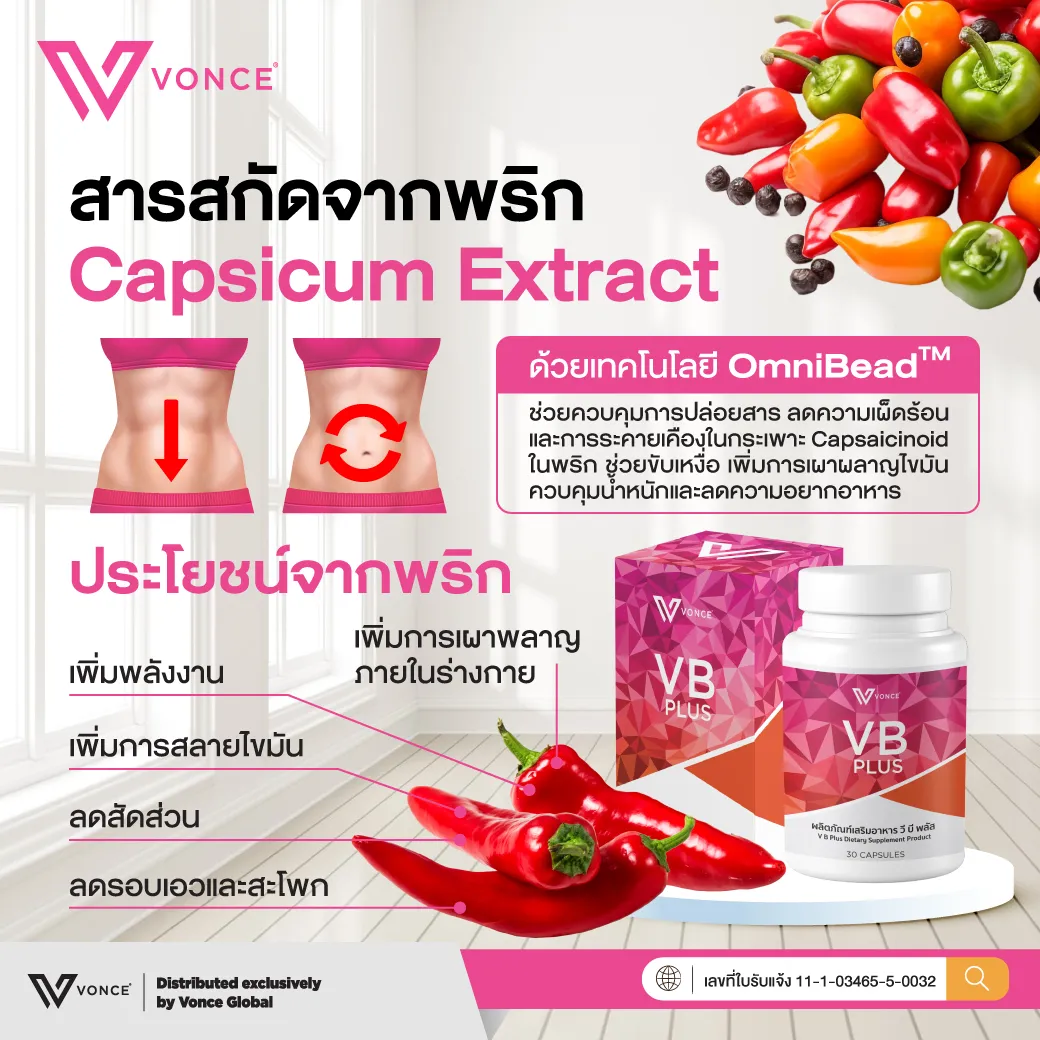 VB Plus วีบี ลดน้ำหนัก ลดไขมัน เร่งเผาผลาญ ต้นแจน ต้นขา หน้าท้อง ลงพุง